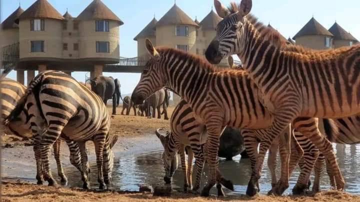 فيلا Nakupenda House واتامو المظهر الخارجي الصورة